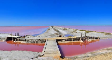 saline fleur de sel in der camargue